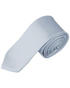 Satin Silk  Neck Ties-light grey