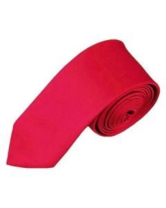 Satin Silk  Neck Ties-Red