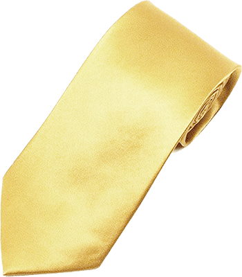 <?$_product->getProductName() ?>